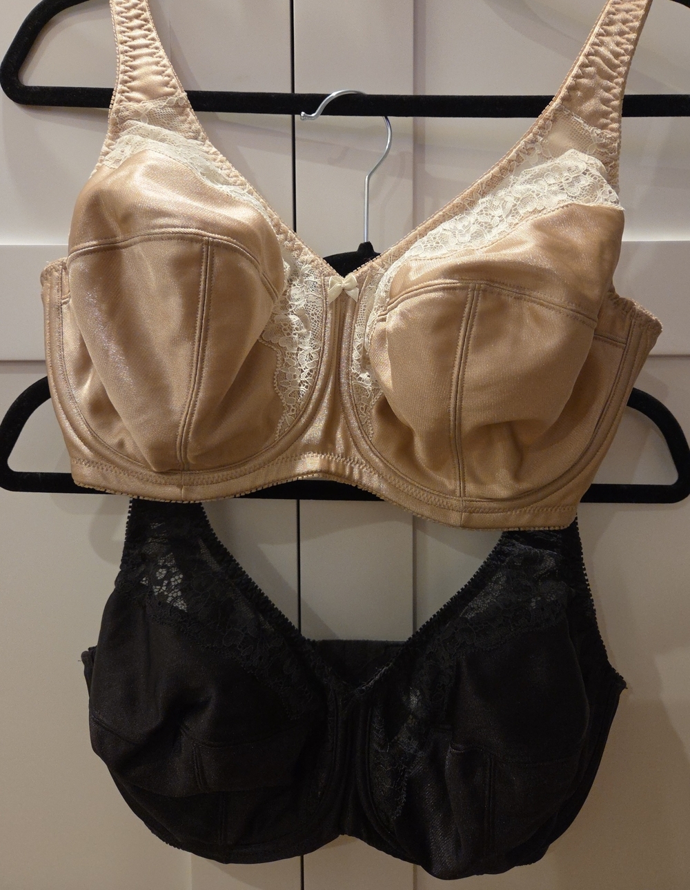 Cabernet Beige and Black Full-Coverage Lace Trim Bras (Set of 2)